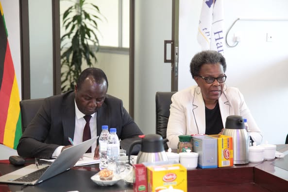 Read more about the article ZIMRA DELEGATION ADVOCATES FOR COLLABORATION TO ENHANCE LOCAL REVENUE COLLECTION